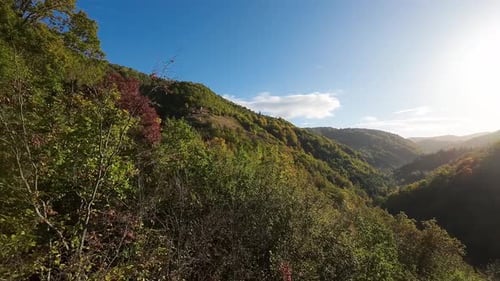 The Fpv Drone Flies Down Into the Mountain Over the Autumncolored Trees