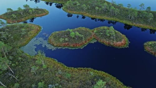 Aerial View of Verdant Islands in Tranquil Wetland