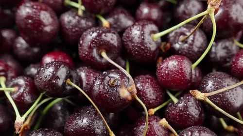 Pile of Fresh Ripe Cherries