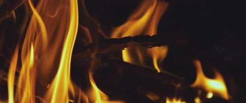 Das brennende Knochenfeuer auf dem Campingplatz