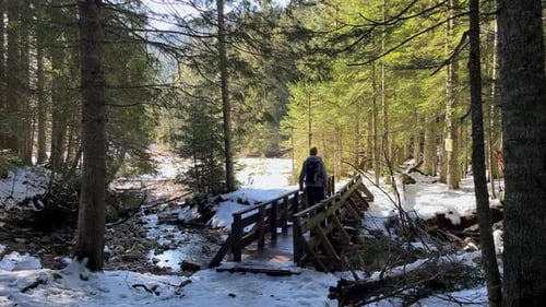 A Man Walks in a Winter Forest and Crosses a Wooden Bridge Over a River