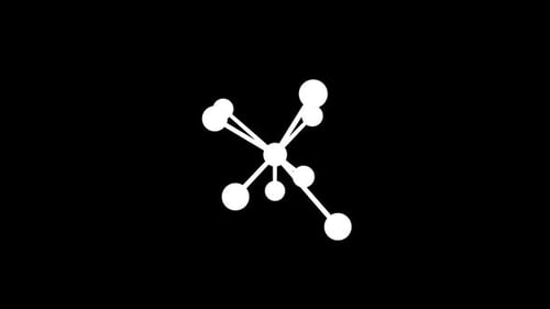 Minimalist Network Connection Logo Reveal Animation