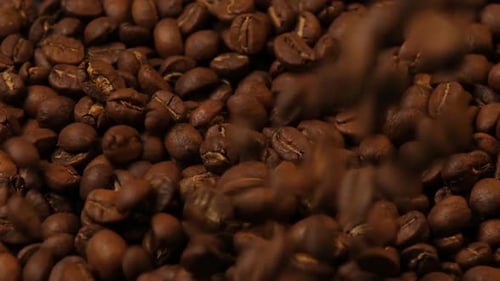 Slow motion of roasted coffee beans falling. Organic coffee seeds.