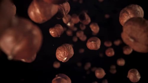 Hazelnuts Floating in Slow Motion on Black Background