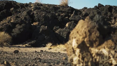 Roches volcaniques dans le paysage désertique de Mojave