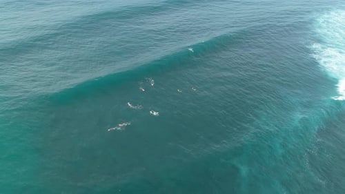 Aerial view of surfers waiting for big waves