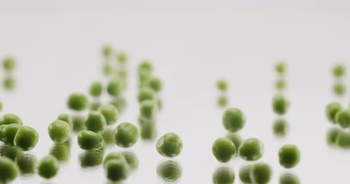 Many Ripe Green Peas Rolling on a Reflective Surface on White Background
