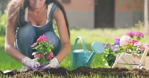 A beautiful woman in her garden, plant colorful flowers to give color to your garden. Concept of: