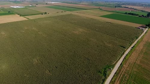 Expansive Aerial View of Vast Farmland
