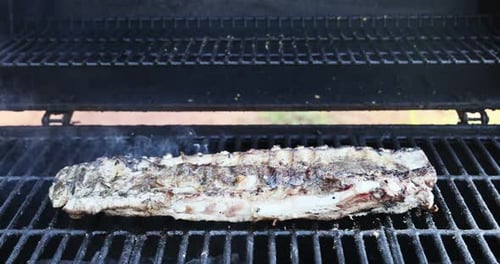 BBQ Flaming Grill rôtissant des côtes de porc marinées
