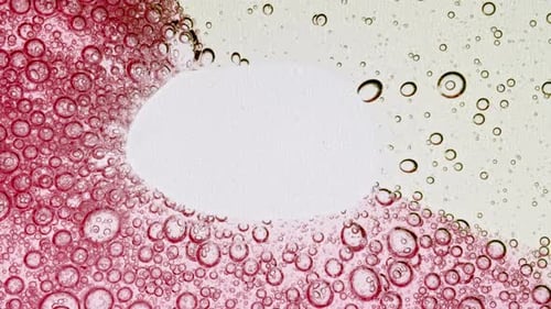 Abstract Red Bubble Design Macro Shot