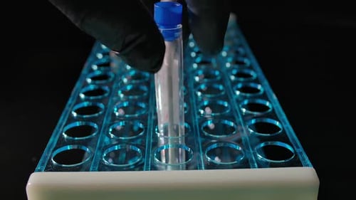 COVID-19 Positive Swab Test Tube in Rack