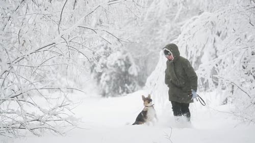 Dog and Friend Play in Snowy Winter Forest