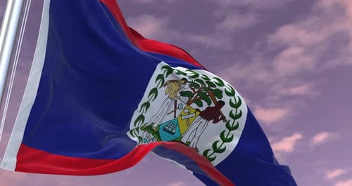Belize Flag Animation Minimal Corporate Video