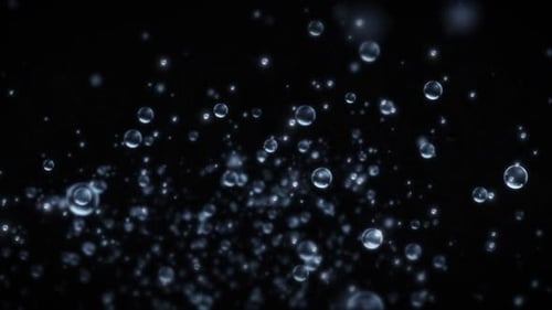 Rising Air Bubbles