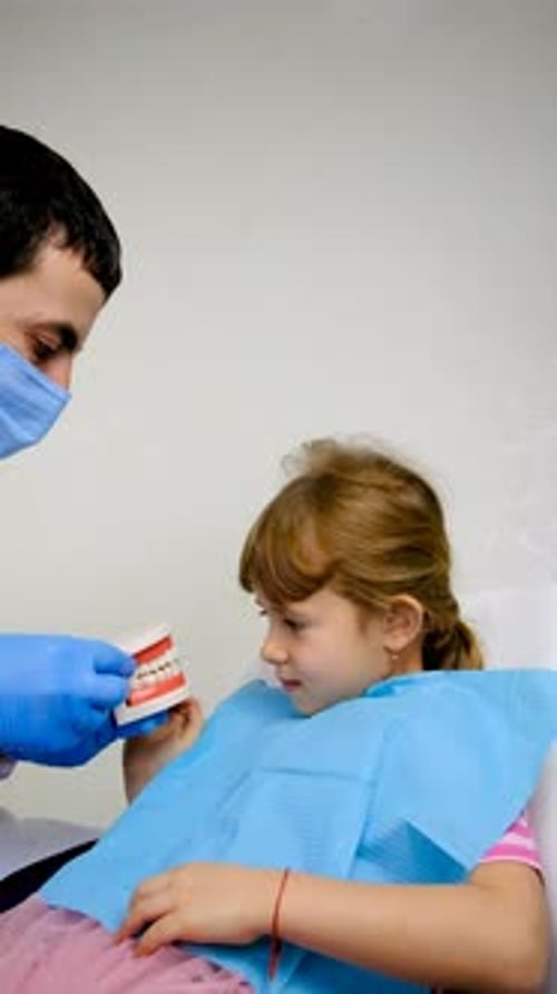 Dentist Explains Teeth to Little Girl in Clinic