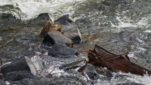 Waterfall On A River In Wild Nature 18