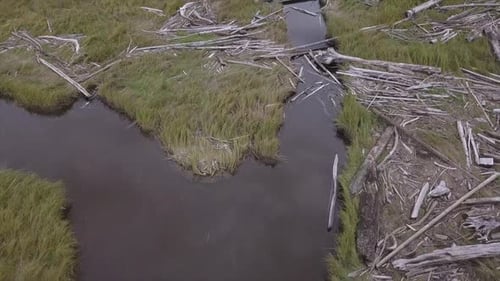 Aerial View of Marsh Stream with Driftwood
