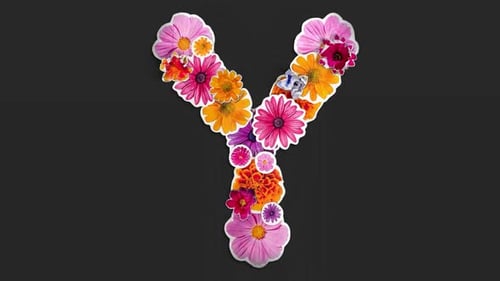 Paper Flowers Letter Y