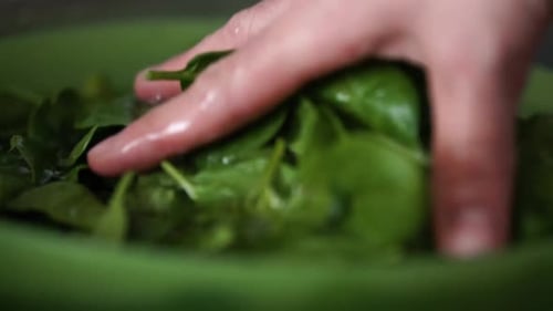 Caucasian male hand washes green baby leaf spinach in green bowl filled with water, SLOW MOTION