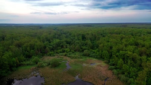 Flight over the natural background of a small lake in the forest in summer.