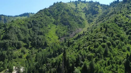Beautiful Green Mountains