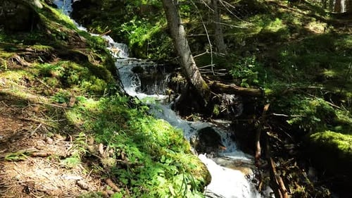 Forest waterfall. stream of water with drops and splashes of a forest river