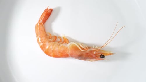 Delicious cooked shrimp with shell in the video. 4K.