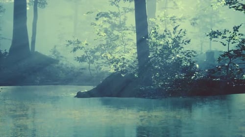 Pond in a Forest with Fog