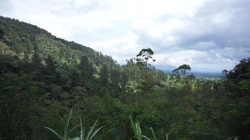 natural scenery mountains natural panorama hills, and forest of tall green trees and slopes of green