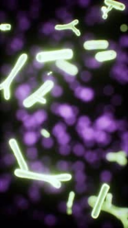 Viewing the Navirus Under a Digital Microscope