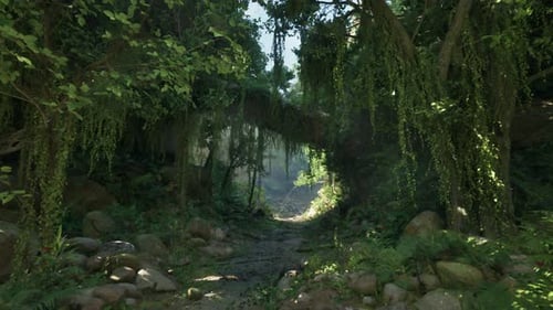 A Scenic Dirt Road Surrounded By Lush Trees and Rugged Rocks in New Zealand