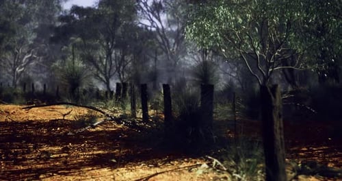 Misty Forest Landscape 3D Animation with Camera Pan