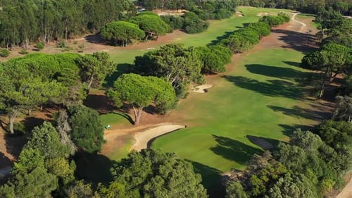 Luftaufnahme eines üppigen Golfplatzes, umgeben von Bäumen an einem sonnigen Tag
