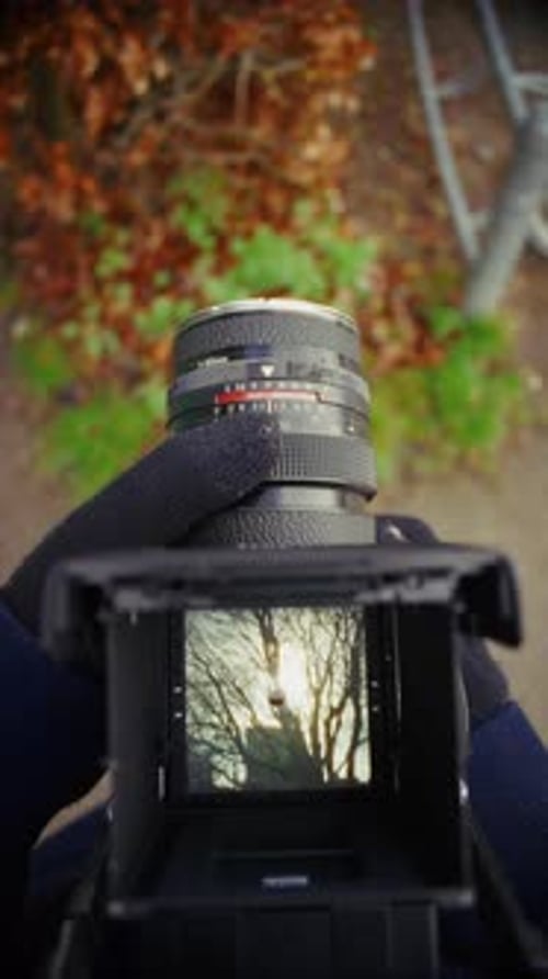 Film Photography Adventure In The Heart Of Nature