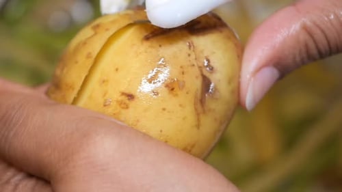 Peeling a Potato in a Rustic Kitchen