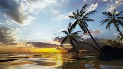 Sunrise On Tropical Island Sea Beach, Calm Ocean Sunset, Palm Tree Leaves Silhouette