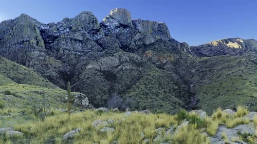 Drohnenaufnahmen, die auf Bergkakteen im Catalina State Park in Arizona zufliegen
