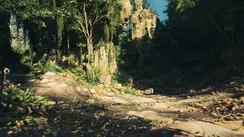Scenic Dirt Road Surrounded By Trees and Rocks