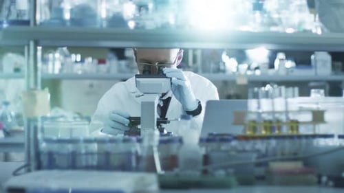 Scientist Uses Microscope in Brightly Lit Lab