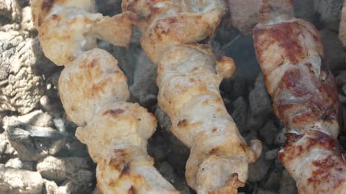 Meat Cooking Grill Skewers Sizzling Over Hot Charcoal Delicious Food Preparation