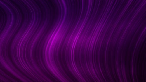 Glowing Purple Wavy Lines Abstract Background Loop