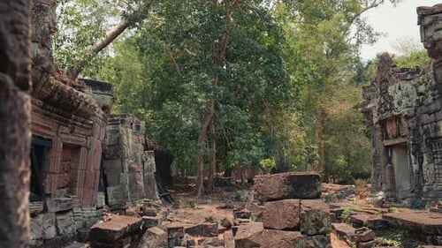 Alte Tempelruinen, umgeben von Wald in Angkor Wat, Kambodscha