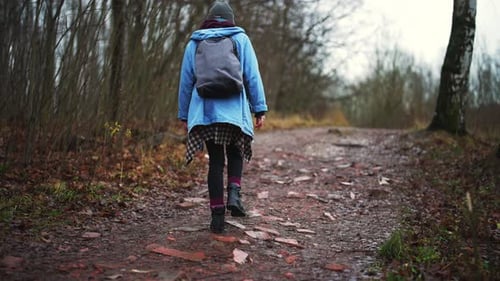 Rear View Woman Walking on Footpath Up in Hill on Autumn Forest with Backpack and Equipment