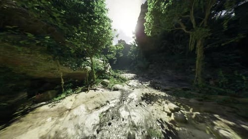 Serene Shallow River Running Through Lush Jungle with Mosscovered Stones
