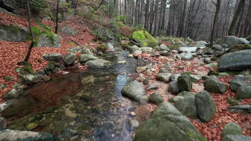 Aerial Over Mountain River in Autumn