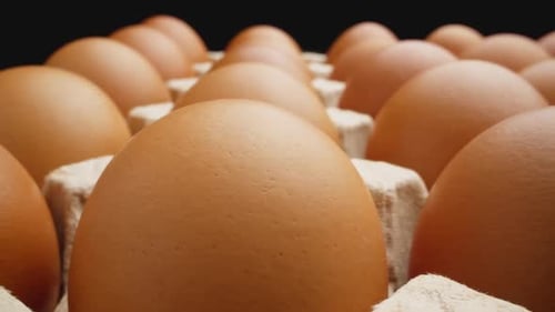 Brown Eggs in Carton Raw Chicken Eggs for Sale at Market Dolly Slider Shot