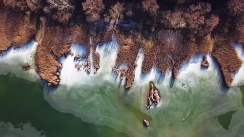 Aerial landscape forward shot of barely frozen lake with reeds, Szűcsi, Hungary, Europe