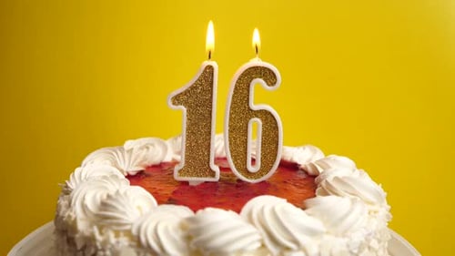 16. A candle in the form of the number 16, inserted into the holiday cake, is blown out. Celebrating