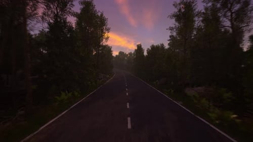 Serene Forest Road at Sunset with Vibrant Sky